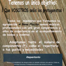 Flyer-Cara-B-abeneplacito