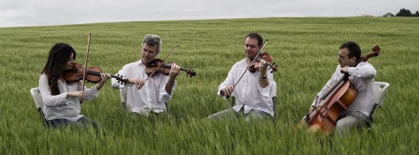 dolci-corde-cuarteto-cuerda